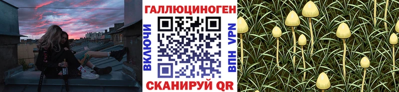 Псилоцибиновые грибы GOLDEN TEACHER  Миасс 